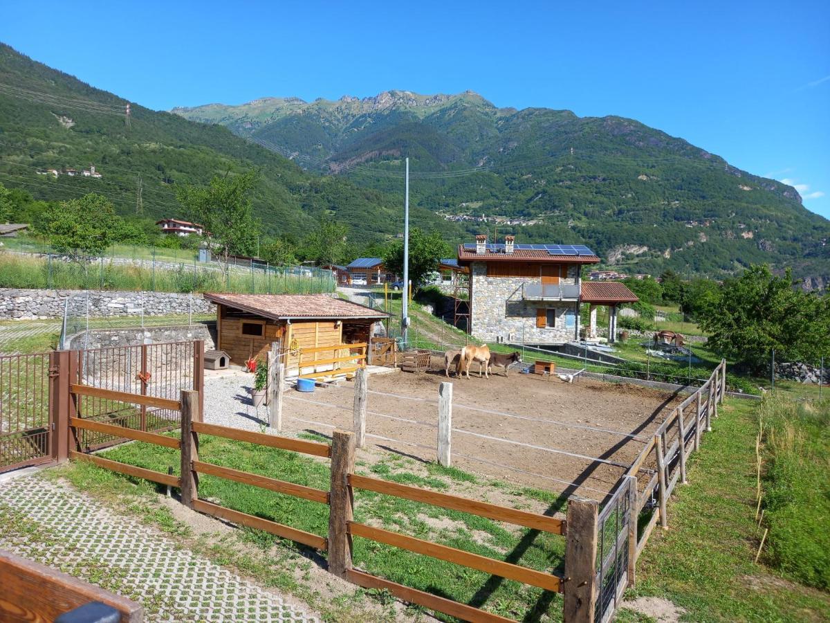Azienda Agricola Agriturismo I Sei Petali Capo di Ponte Luaran gambar